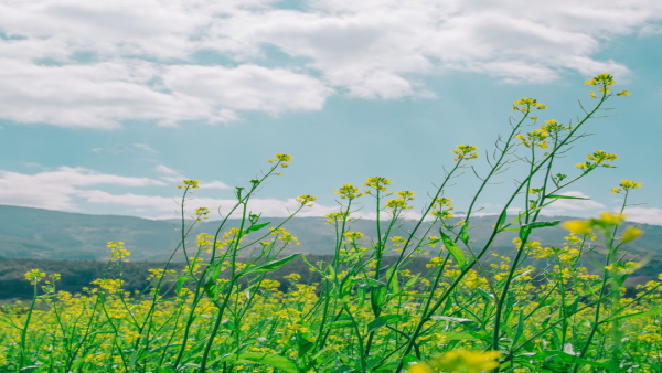 地方で介護職に転職！U/Iターン歓迎求人を活用するためのノウハウ